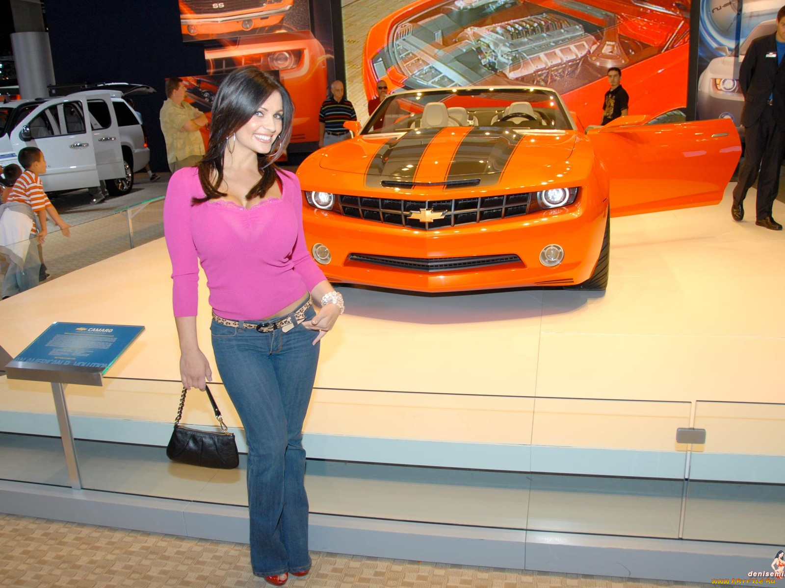 Denise Milani car